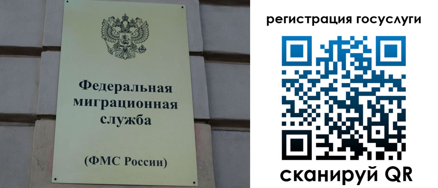 временная регистрация поиск в Тимашёвске